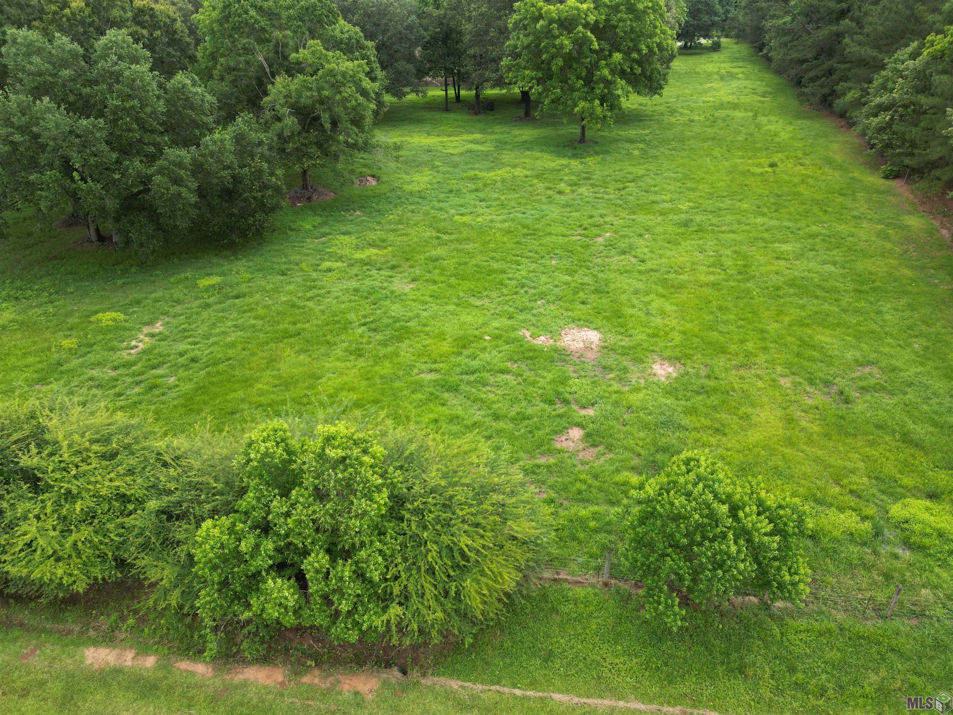 Tbd Megan Road Jackson, LA 70748 - Photo 2 of 17