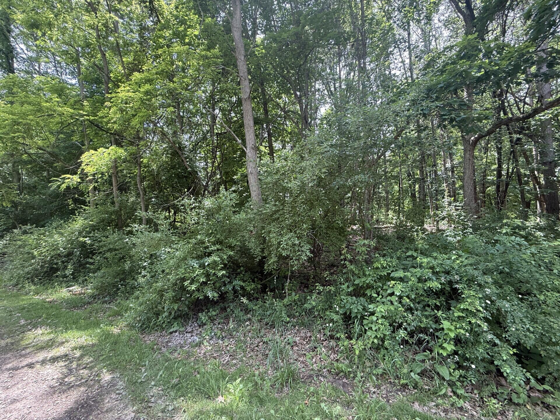 0 Longbridge Road Pentwater, MI 49449 - Photo 2 of 9 e71111de-932b-4d61-a961-aa350d6f416a