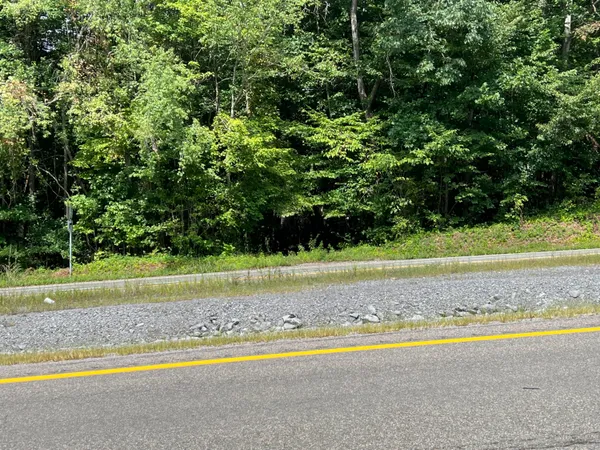 $45,000 | Tbd Tbd Beech Springs Road, Jonesville, VA 24263