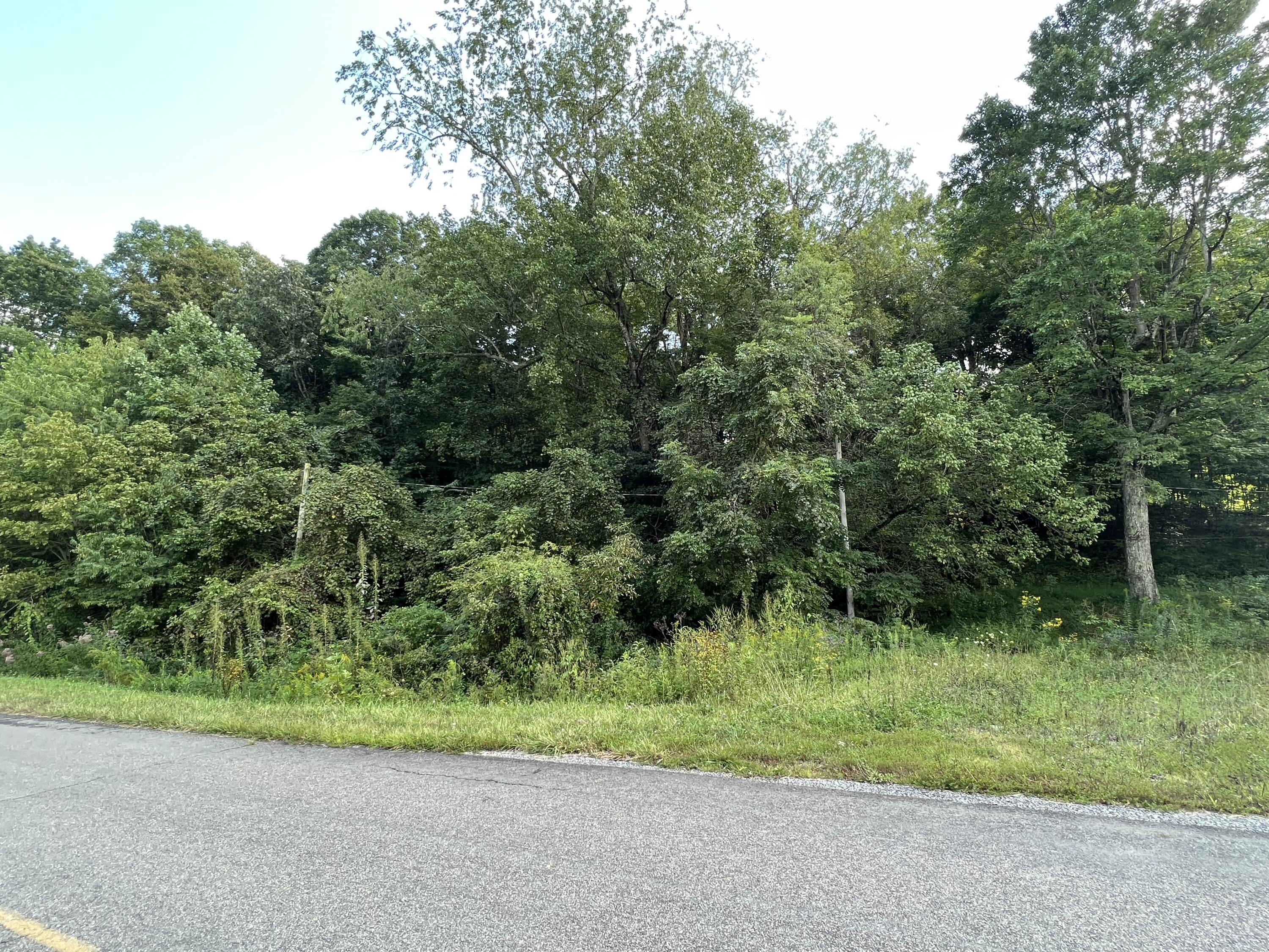 Tbd Tbd Beech Springs Road Jonesville, VA 24263 - Photo 4 of 7 PROPERTY ENTRANCE FROM BEECH SPRINGS RD