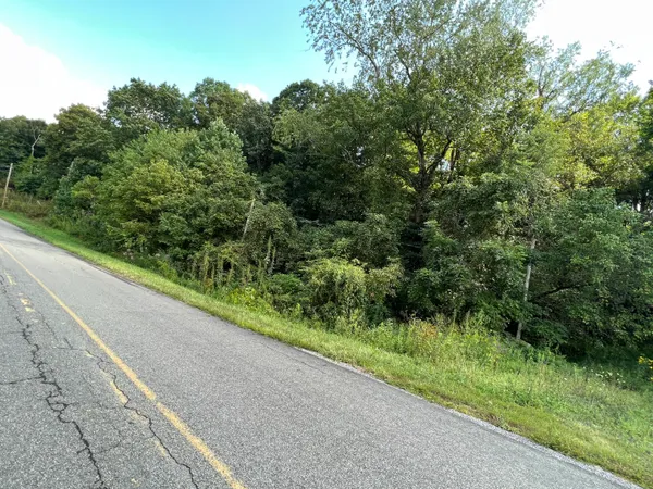 $45,000 | Tbd Tbd Beech Springs Road, Jonesville, VA 24263
