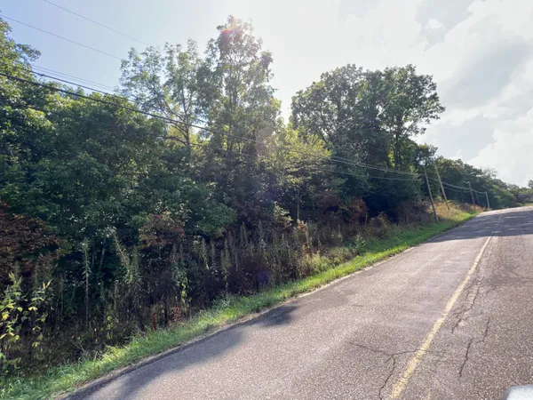 $45,000 | Tbd Tbd Beech Springs Road, Jonesville, VA 24263