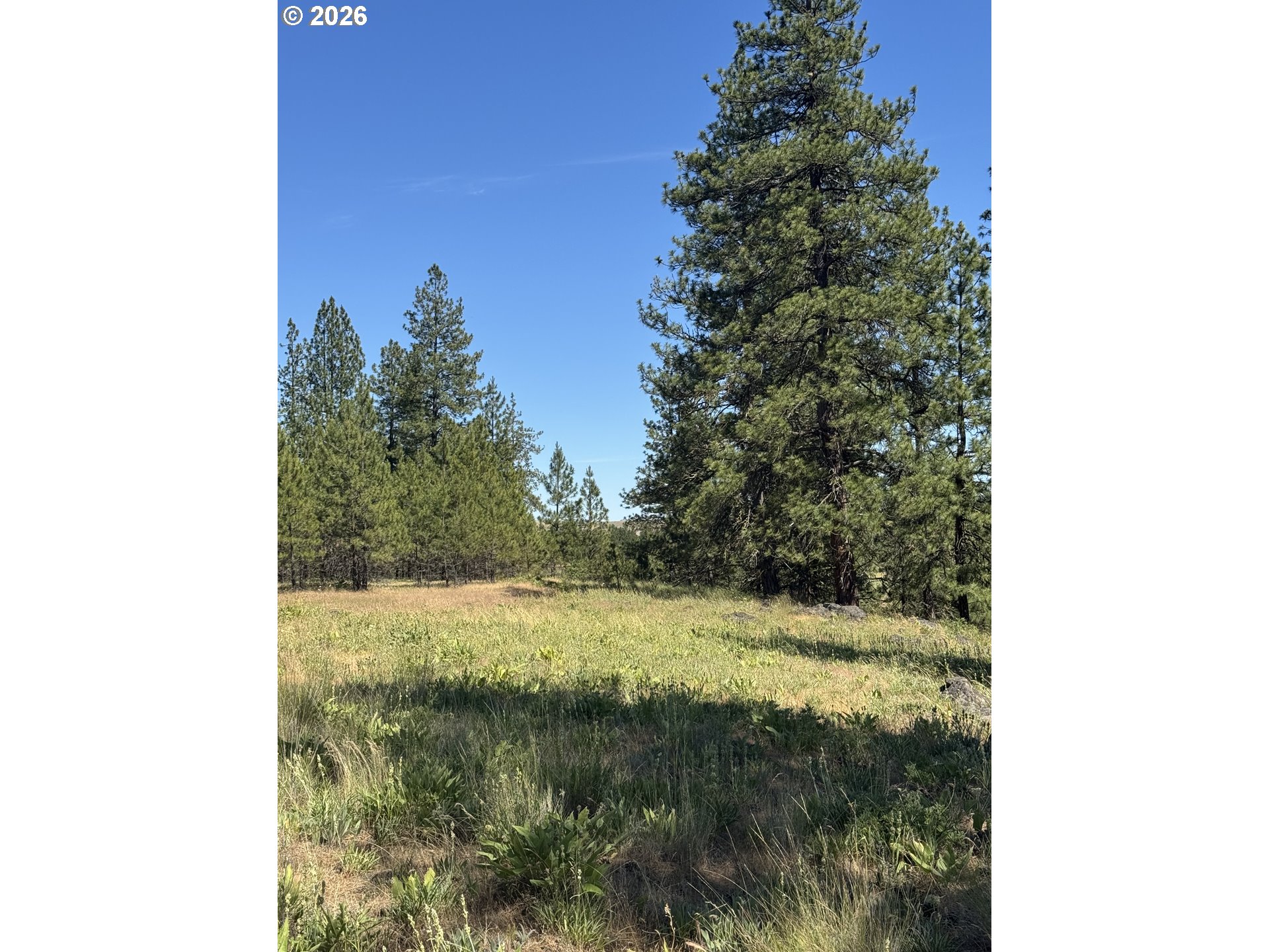 Zelinski Road Goldendale, WA 98620 - Photo 12 of 15