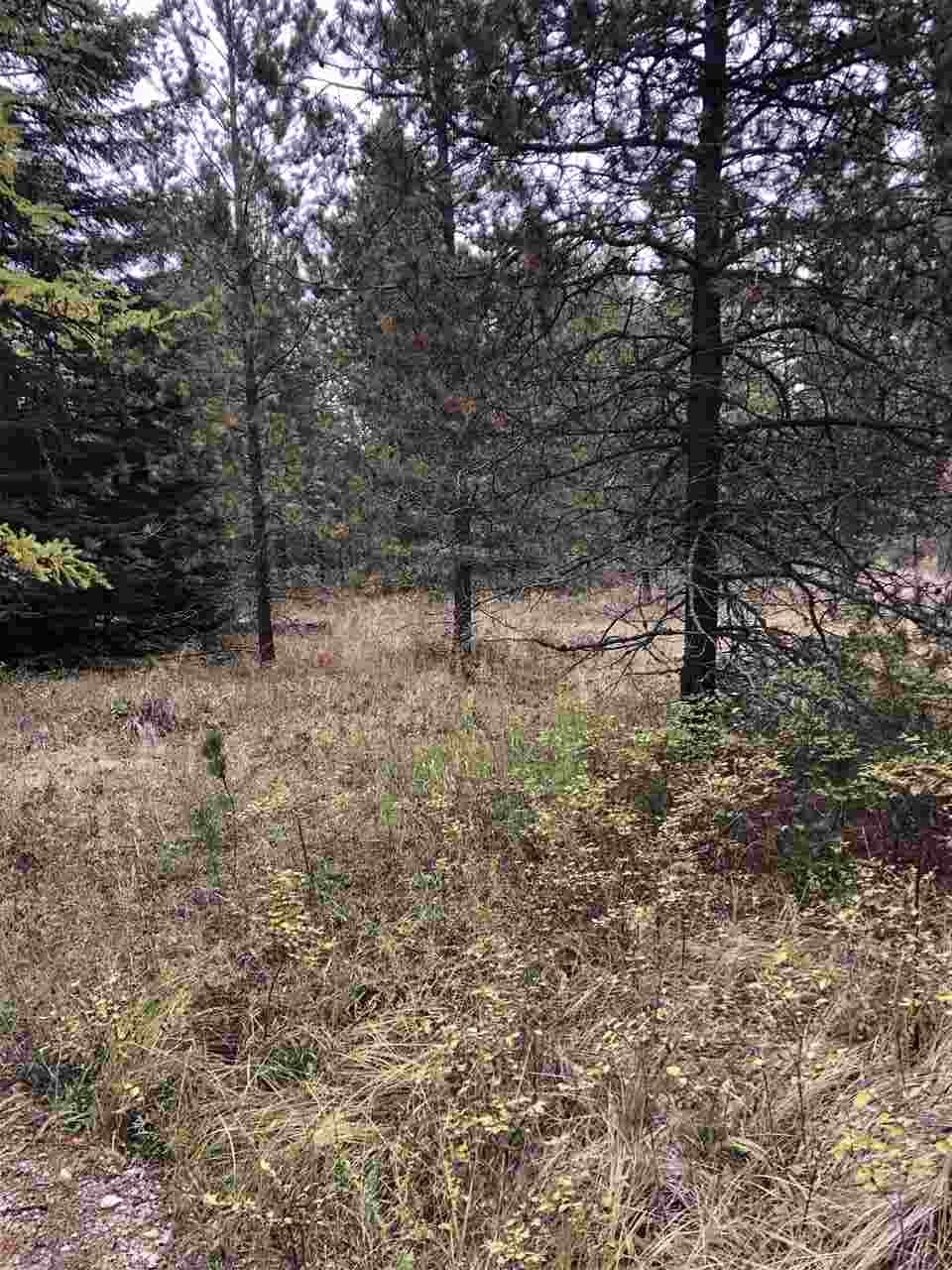 16648 Deer Valley Road Newport, WA 99156 - Photo 2 of 10 Gallery Image 2