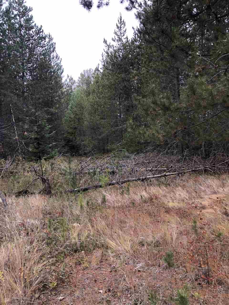 16648 Deer Valley Road Newport, WA 99156 - Photo 3 of 10 Gallery Image 3