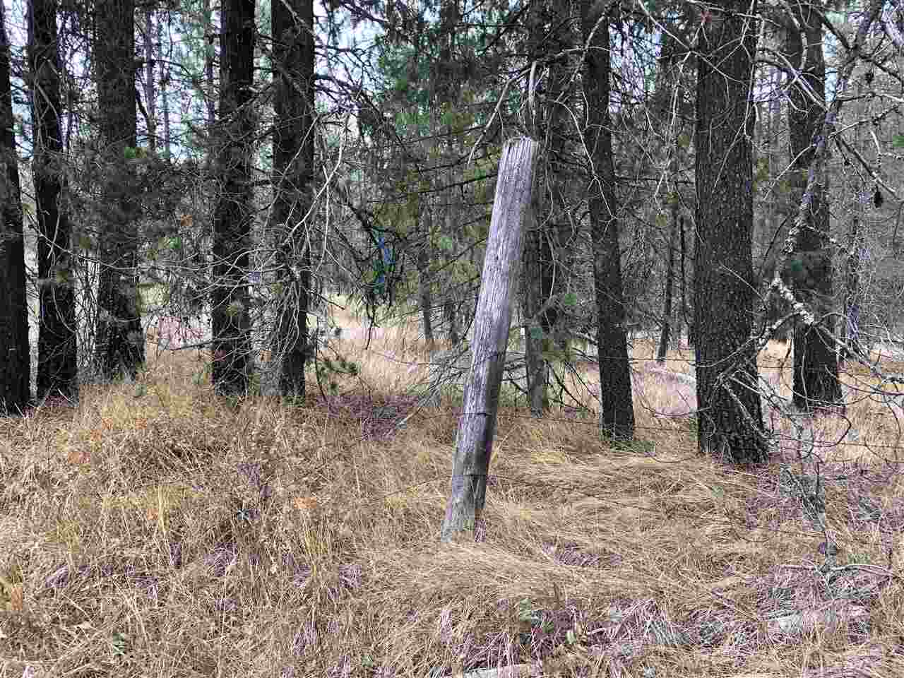 16648 Deer Valley Road Newport, WA 99156 - Photo 8 of 10 Gallery Image 8