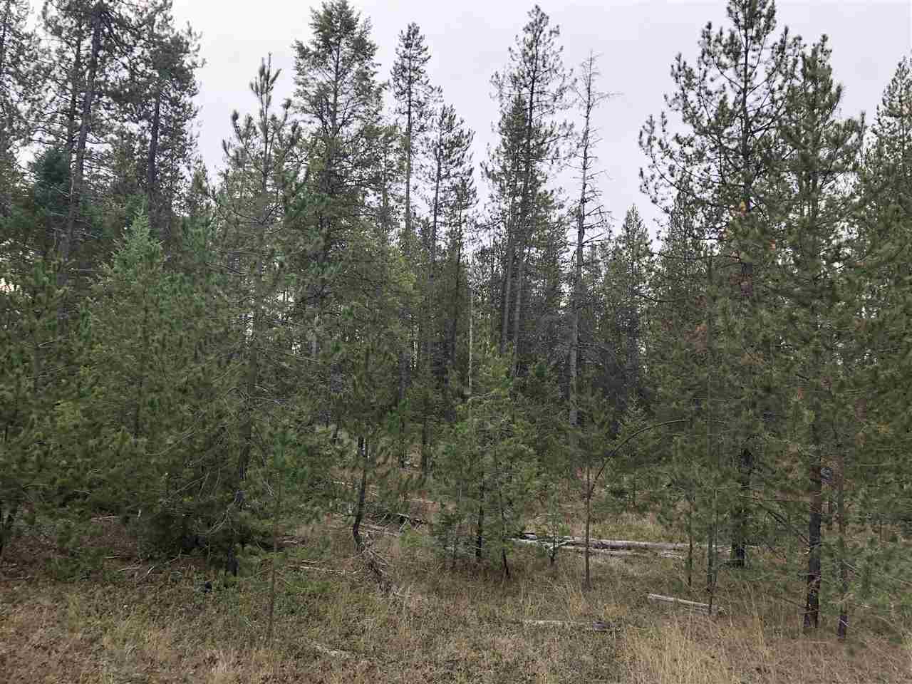 16648 Deer Valley Road Newport, WA 99156 - Photo 9 of 10 Gallery Image 9