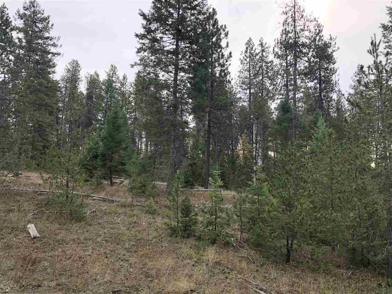 16648 Deer Valley Road Newport, WA 99156 - Photo 10 of 10 Gallery Image 10