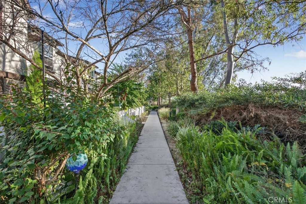 9 Three Vines Court Ladera Ranch, CA 92694 - Photo 9 of 41