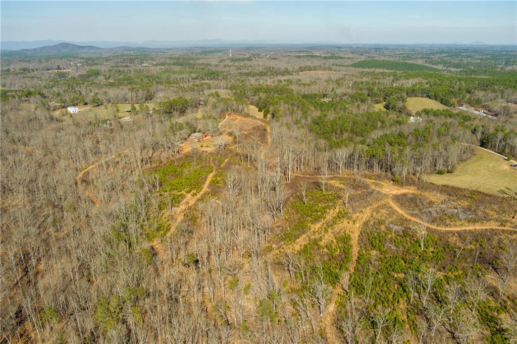170 Sperin Cabinet Shop Road Ball Ground, GA 30107 - Photo 9 of 19