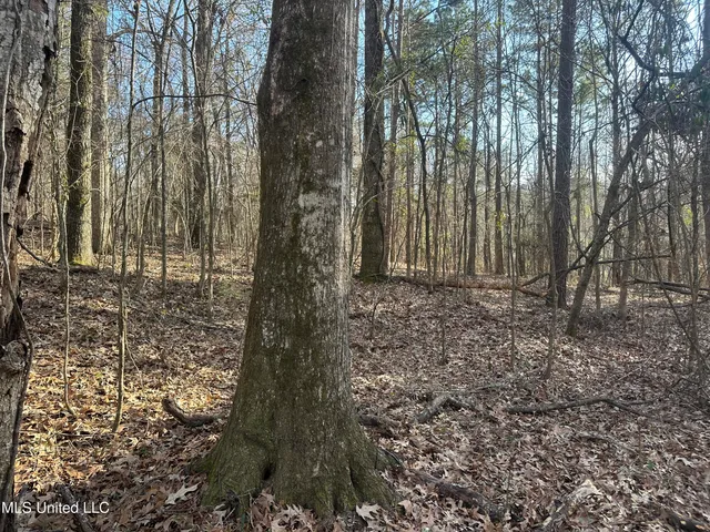 $305,150 | Aberdeen Road, Natchez, MS 39120