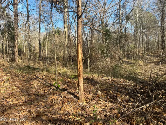 $305,150 | Aberdeen Road, Natchez, MS 39120