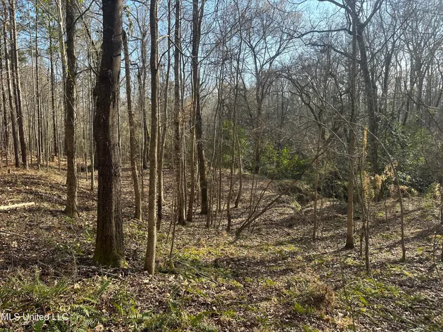 $305,150 | Aberdeen Road, Natchez, MS 39120