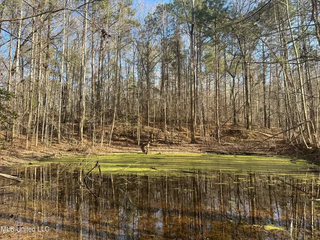 $305,150 | Aberdeen Road, Natchez, MS 39120