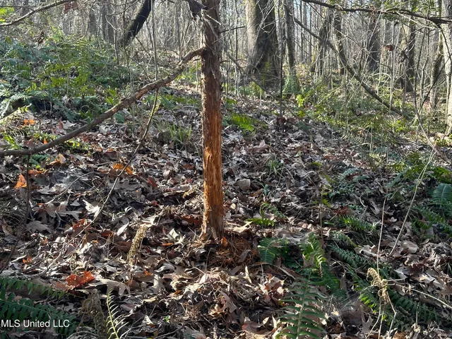 $305,150 | Aberdeen Road, Natchez, MS 39120