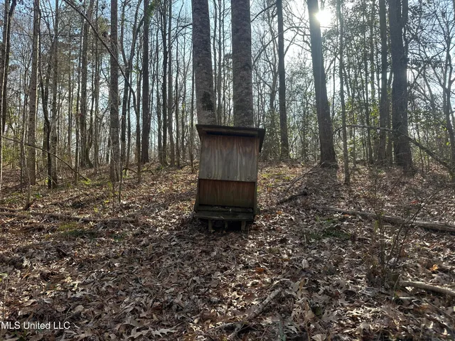 $305,150 | Aberdeen Road, Natchez, MS 39120