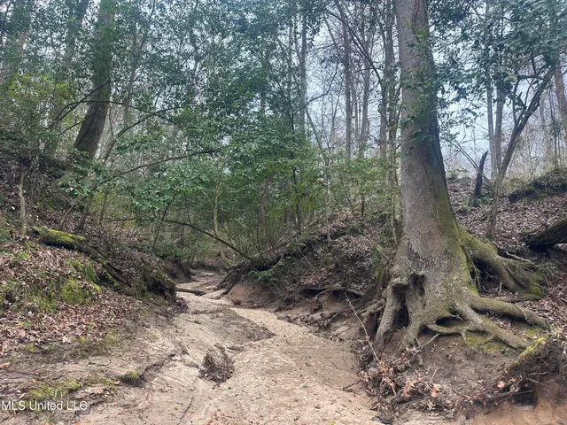 $305,150 | Aberdeen Road, Natchez, MS 39120