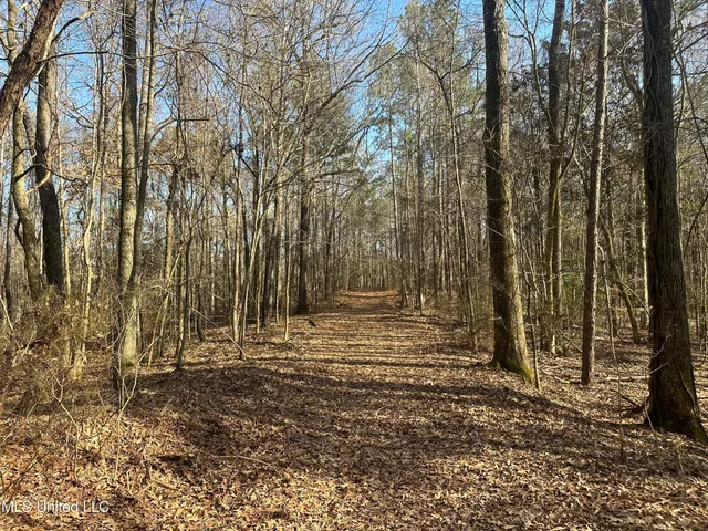 $305,150 | Aberdeen Road, Natchez, MS 39120