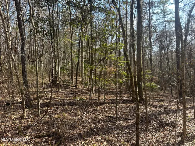 $305,150 | Aberdeen Road, Natchez, MS 39120