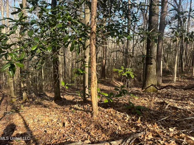 $305,150 | Aberdeen Road, Natchez, MS 39120