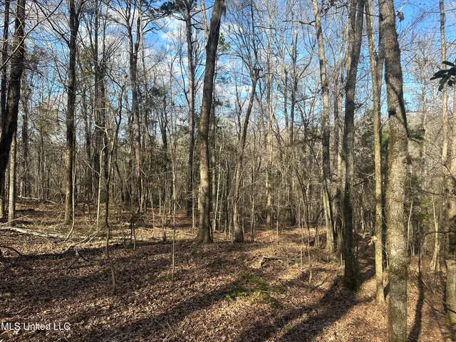 $305,150 | Aberdeen Road, Natchez, MS 39120