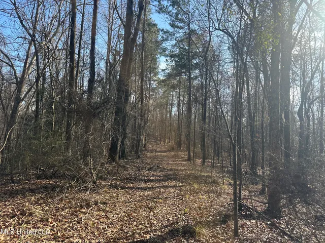 $305,150 | Aberdeen Road, Natchez, MS 39120