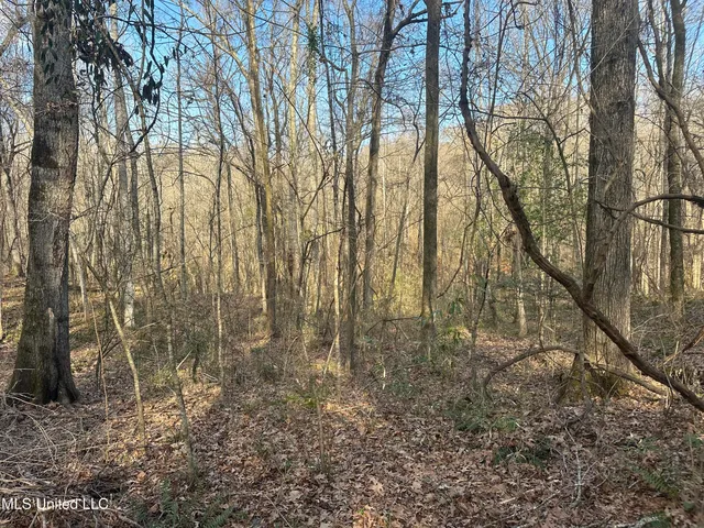 $305,150 | Aberdeen Road, Natchez, MS 39120