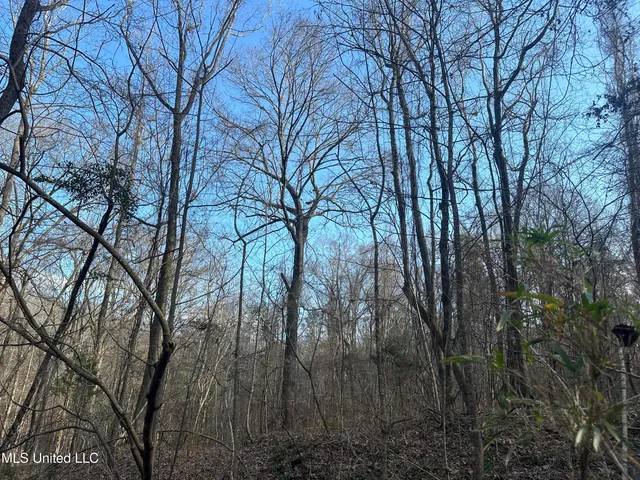 $305,150 | Aberdeen Road, Natchez, MS 39120