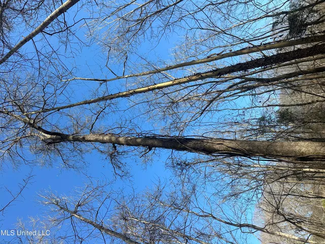 $305,150 | Aberdeen Road, Natchez, MS 39120