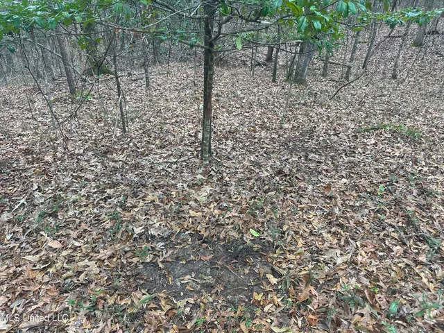 $305,150 | Aberdeen Road, Natchez, MS 39120