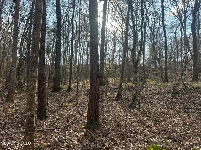 $305,150 | Aberdeen Road, Natchez, MS 39120