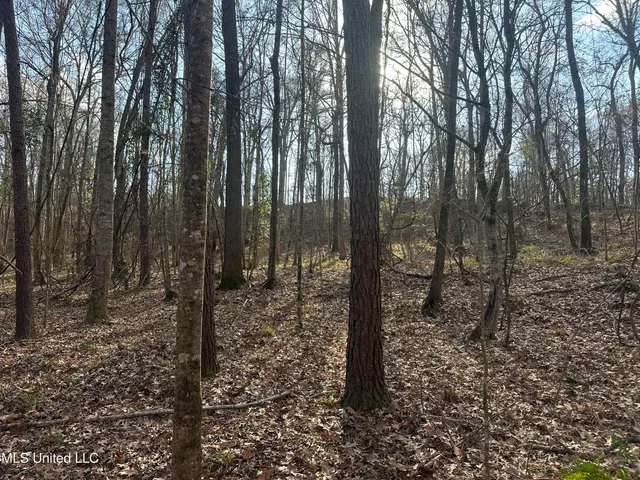 $305,150 | Aberdeen Road, Natchez, MS 39120