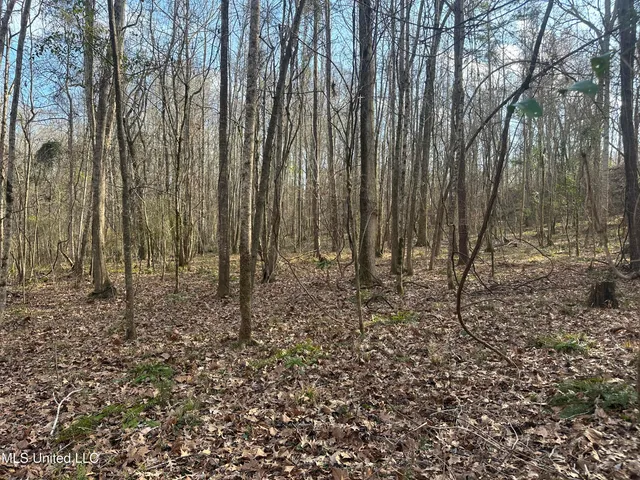 $305,150 | Aberdeen Road, Natchez, MS 39120