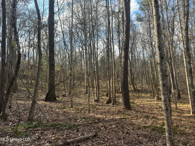 $305,150 | Aberdeen Road, Natchez, MS 39120