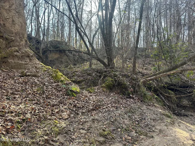 $305,150 | Aberdeen Road, Natchez, MS 39120