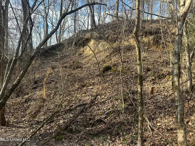 $305,150 | Aberdeen Road, Natchez, MS 39120