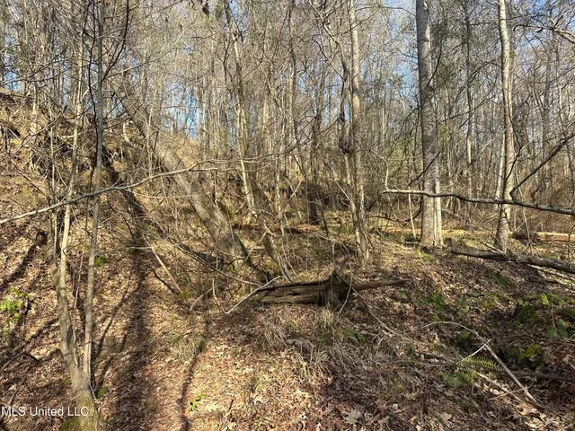 $305,150 | Aberdeen Road, Natchez, MS 39120