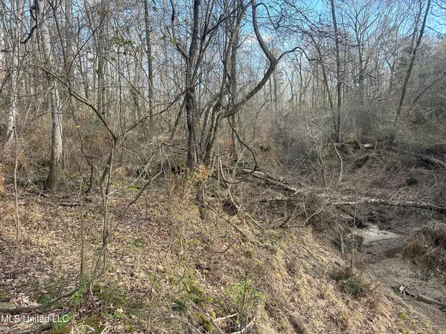 $305,150 | Aberdeen Road, Natchez, MS 39120