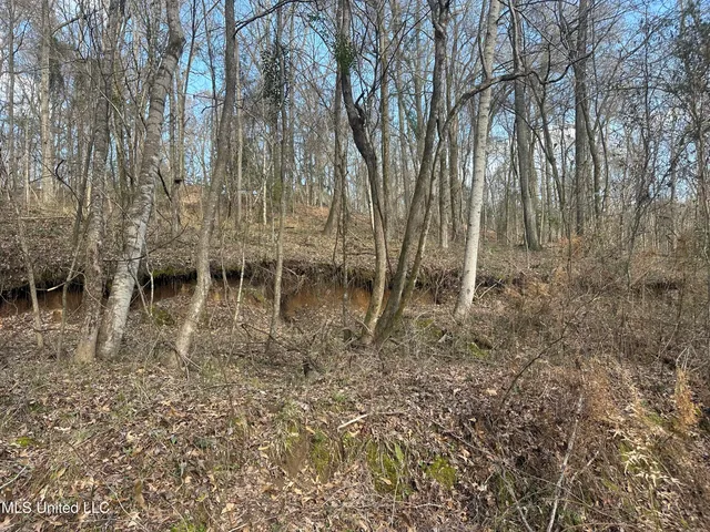 $305,150 | Aberdeen Road, Natchez, MS 39120