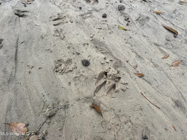 $305,150 | Aberdeen Road, Natchez, MS 39120