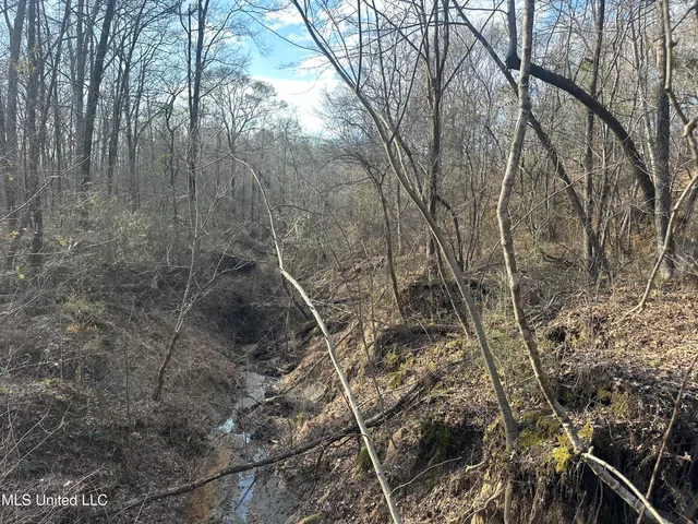 $305,150 | Aberdeen Road, Natchez, MS 39120