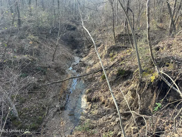 $305,150 | Aberdeen Road, Natchez, MS 39120