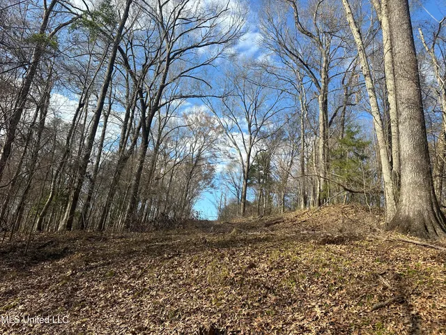 $305,150 | Aberdeen Road, Natchez, MS 39120