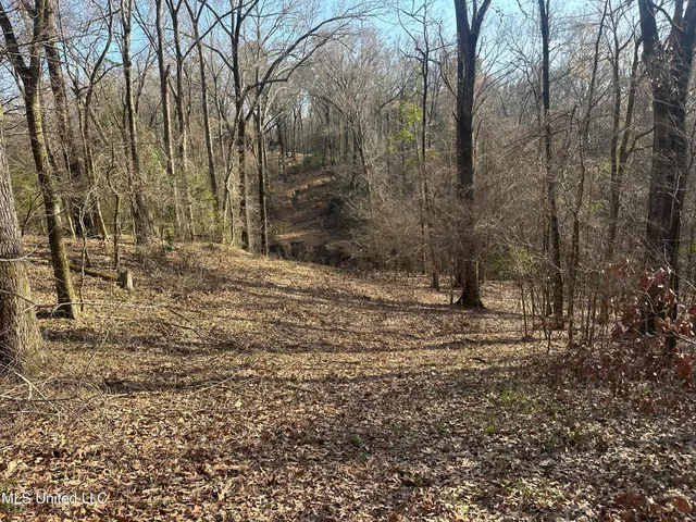 $305,150 | Aberdeen Road, Natchez, MS 39120