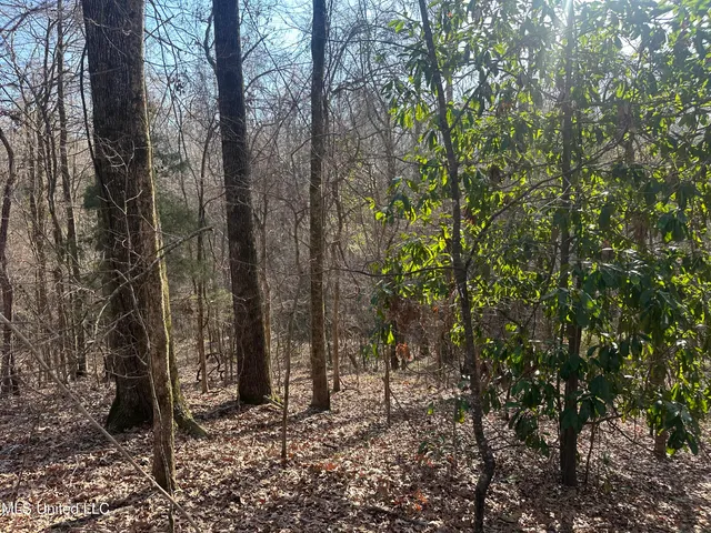 $305,150 | Aberdeen Road, Natchez, MS 39120