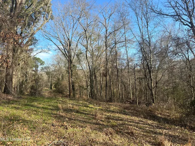 $305,150 | Aberdeen Road, Natchez, MS 39120