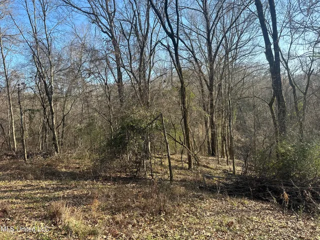 $305,150 | Aberdeen Road, Natchez, MS 39120