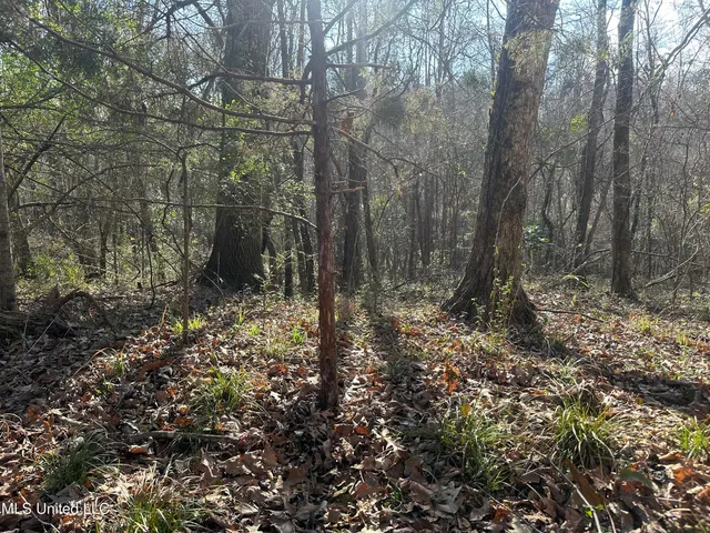 $305,150 | Aberdeen Road, Natchez, MS 39120