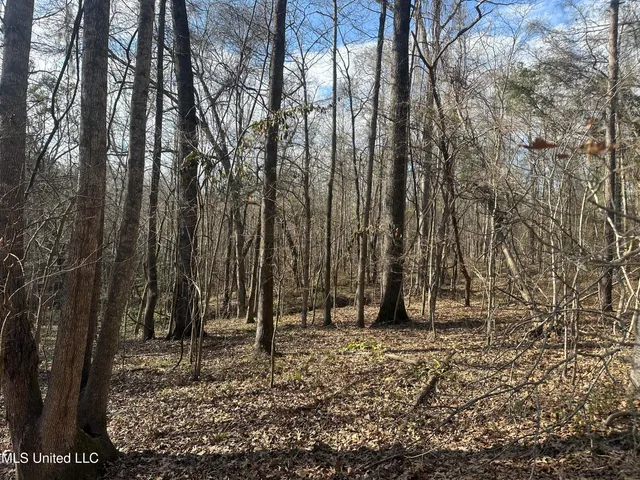 $305,150 | Aberdeen Road, Natchez, MS 39120