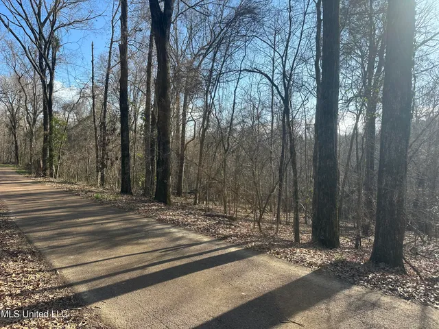 $305,150 | Aberdeen Road, Natchez, MS 39120